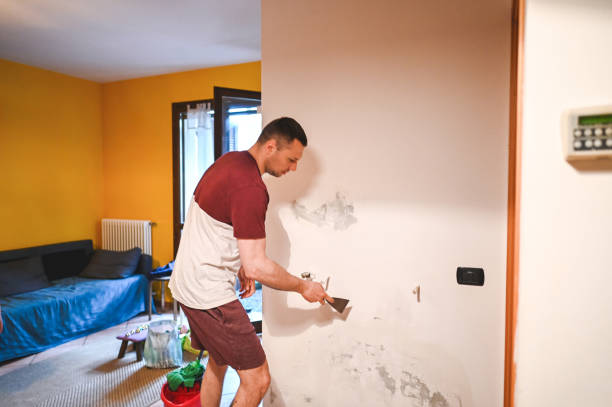 Best Toxic Mold Removal  in Chester Gap, VA